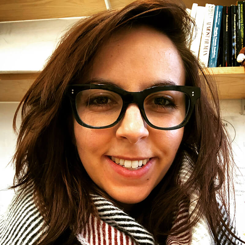 Sophia Daoudi-Simison